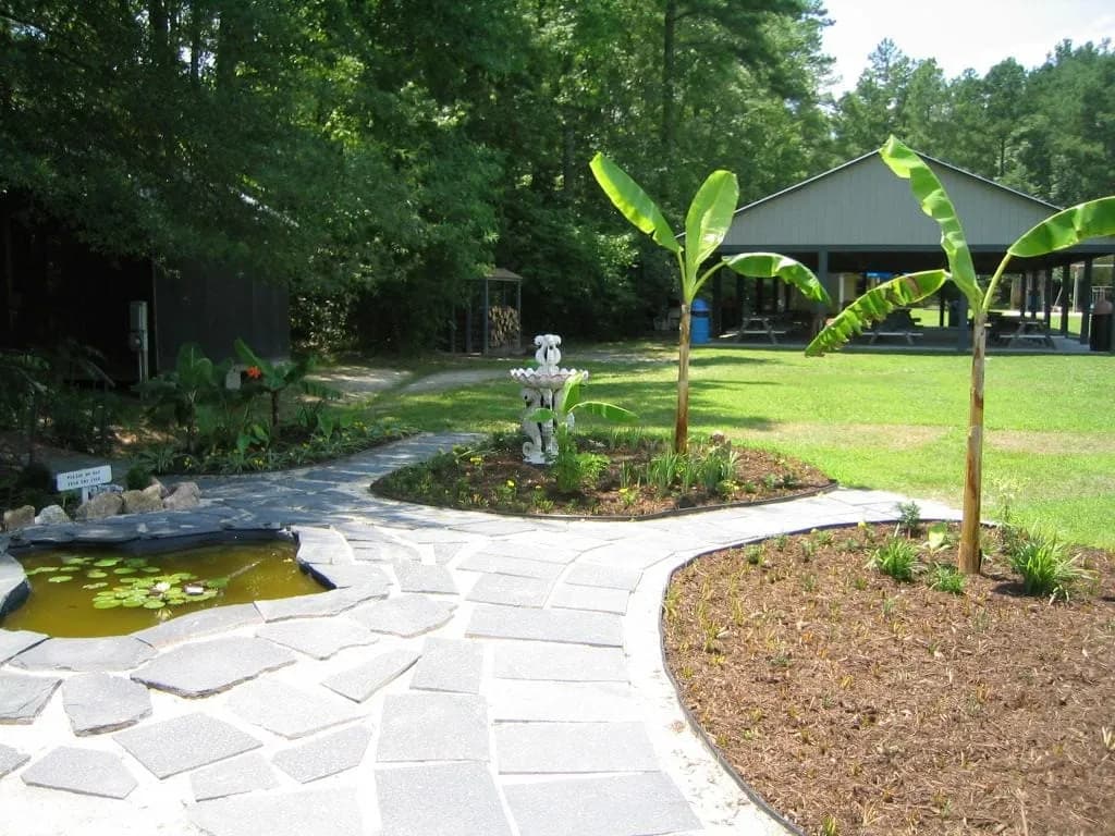 Scenic view of resort pond with cabins in a woodland setting
