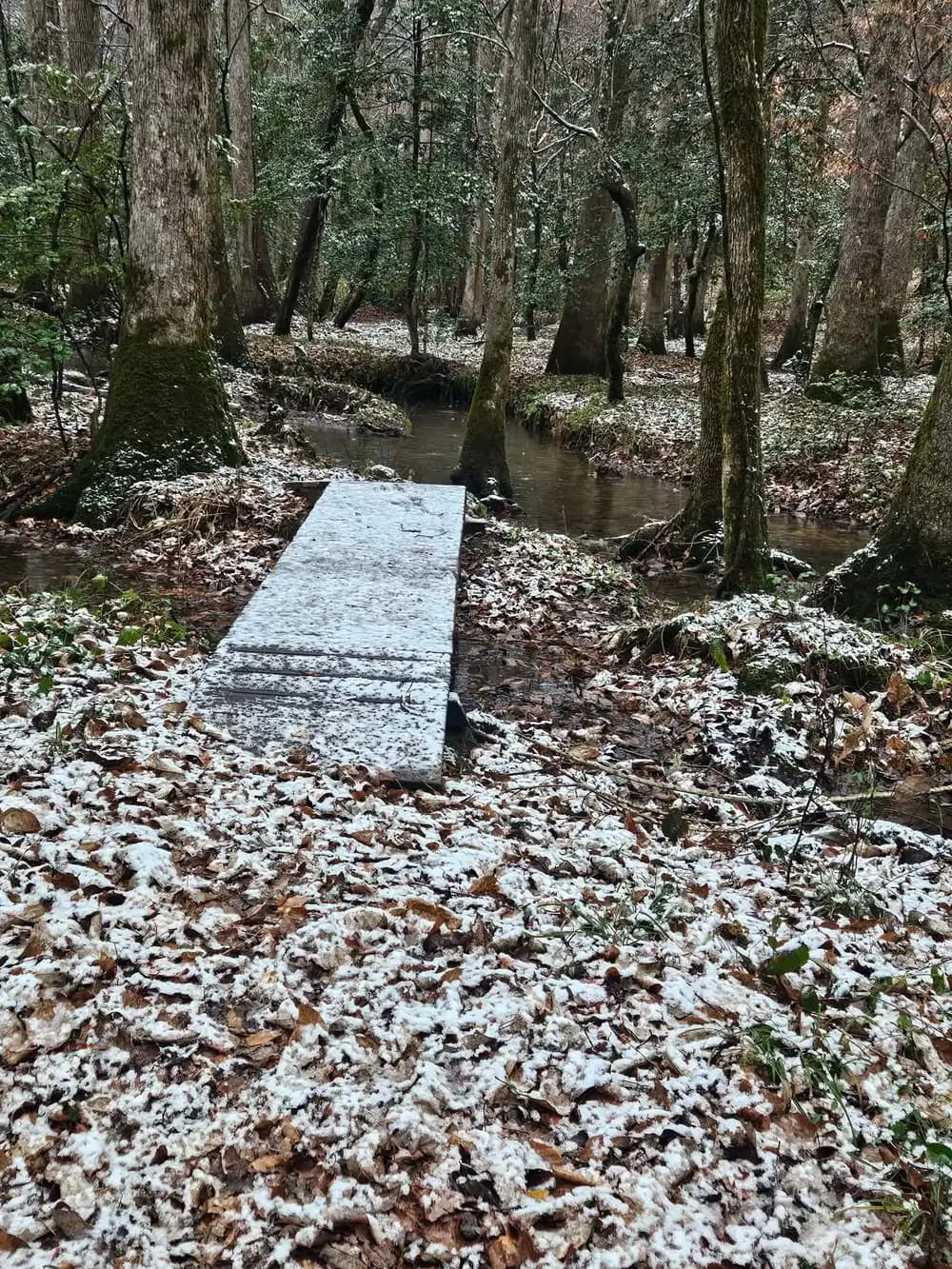Wooden footbridge crossing the creek in winter at White Tail Resort